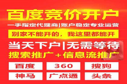 SEM托管公司案例分析：数据驱动决策
